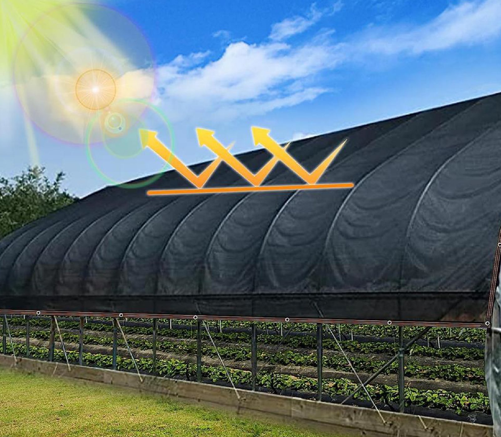  Shade Nets