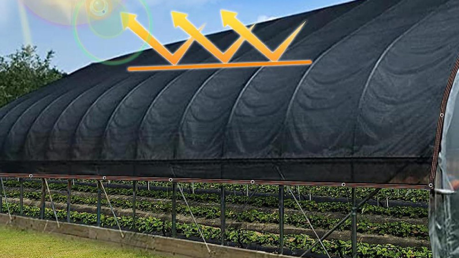 Protective Shade Net 60%