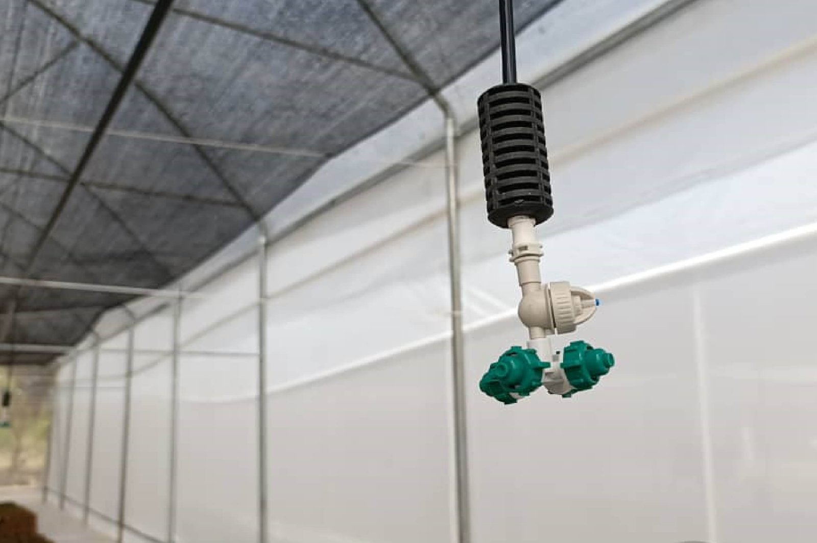 Fully Equipped Greenhouse with Shade Netting and Fogger Cross Misting System